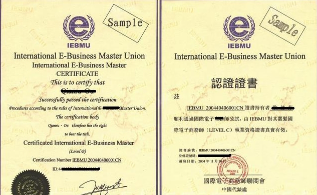 国际电子商务师证书